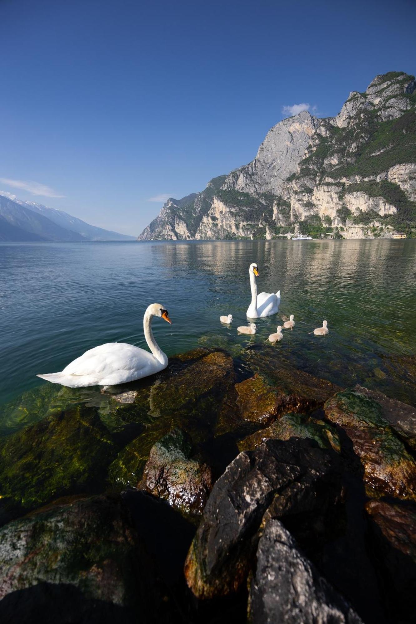 Appartamento Laura Riva del Garda Luaran gambar